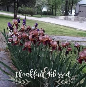 Meet your Posher, Leann